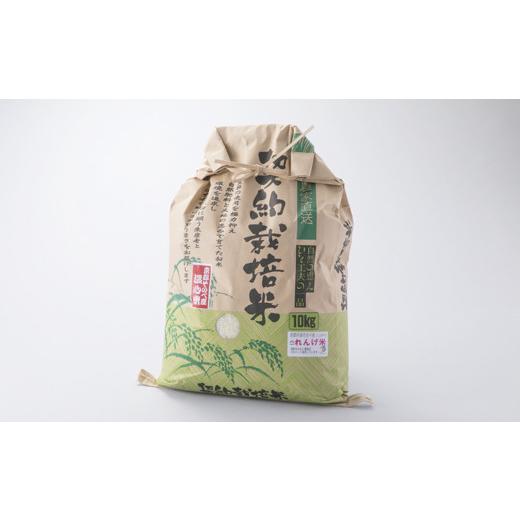 ふるさと納税 京都府 南丹市 れんげ米コシヒカリ「精米」10kg　５分[?島屋選定品］019N529-4 