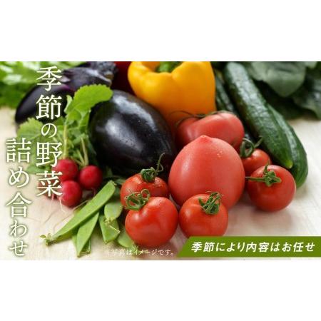 ふるさと納税 長崎県産　季節の野菜BOX 長崎県