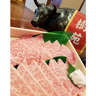 ふるさと納税 広陵町 黒毛和牛　上焼肉セット (タレ付き)　500g