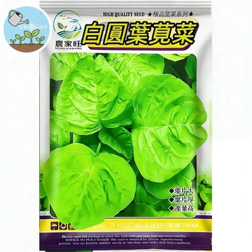 【原廠包裝】白圓葉莧菜種子（White Round Leaf Amaranth）快速採收  四季可種 家庭農場