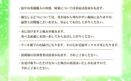 AS-345 鹿児島県産シャインマスカット 1kg （1～4房） 〔7月下旬~8月上旬に発送〕