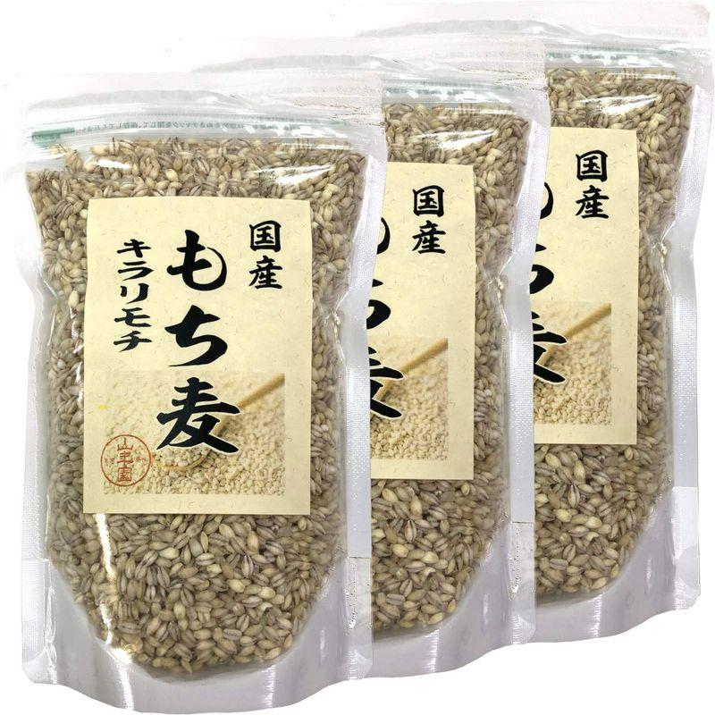 国産もち麦 キラリモチ 500g×3袋セット 巣鴨のお茶屋さん 山年園