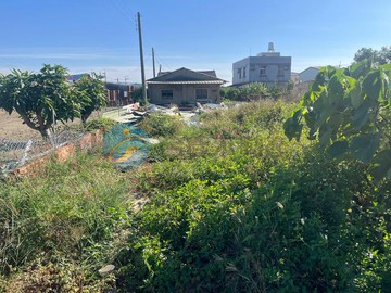 臺南鹽水區 頑皮世界野生動物園 優質建地｜台南市鹽水區孫厝寮