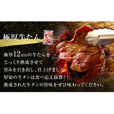 ふるさと納税 東松島市 牛たん 2種 小分 食べ比べ 1kg 冷凍 厚切 極厚牛たん 霜降り牛たん  焼肉 BBQ 宮城県