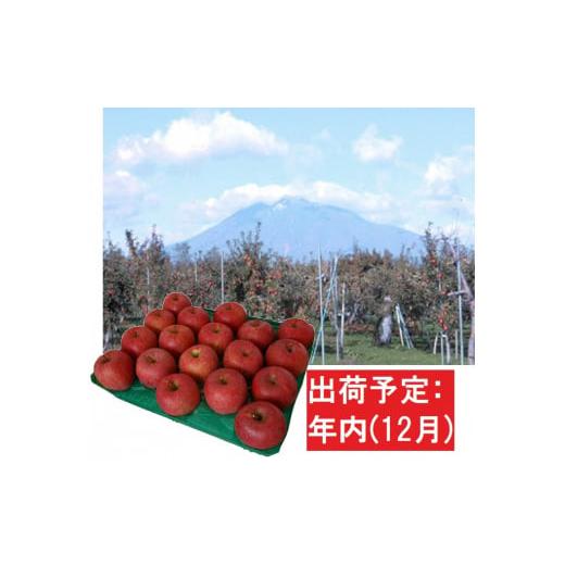 ふるさと納税 青森県 平川市 12月  サンふじりんご「特A」約5kg 糖度13度以上(14〜20玉程度） 