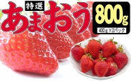 いちご 2023年12月より発送 特選あまおう 800g※配送不可：離島