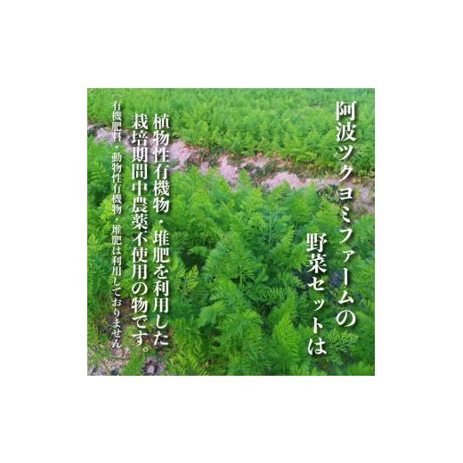 ふるさと納税 徳島県 阿波市 野菜 お楽しみ 定期便 4回 10~12品目 詰め合わせ セット 阿波 ツクヨミ ファーム 玉ねぎ とまと じゃがいも