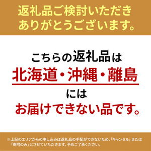 魔法のいちごギフト化粧箱入り