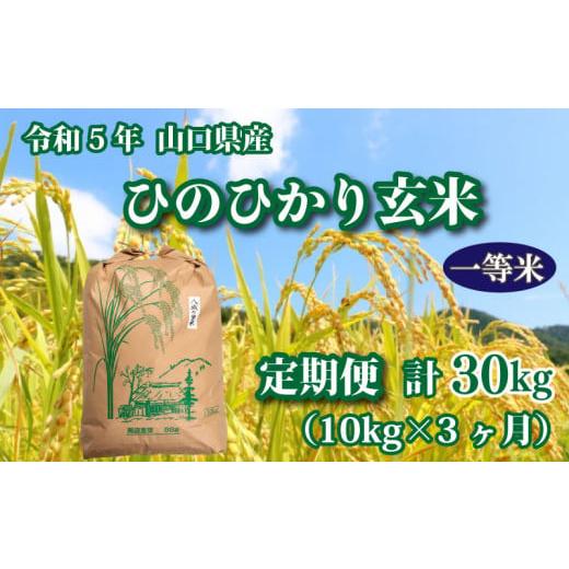 ふるさと納税 山口県 下関市 令和5年 山口県産 ひのひかり 玄米 10kg×3回