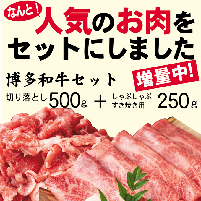 数量限定 博多 和牛 A4～A5 しゃぶしゃぶ すき焼き 750g セット（スライス 250g・切り落とし 500g）配送不可：離島