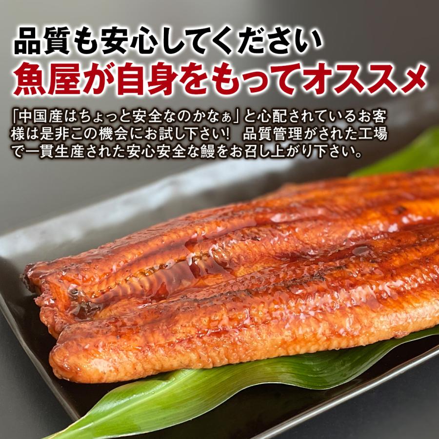 うなぎ 鰻 中国産 特大 約330g × 3尾 ひつまぶし おにぎり 鰻重 うな丼鰻蒲焼 蒲焼き 真空パック ギフト お取り寄せ 冷凍 内祝い プレゼント