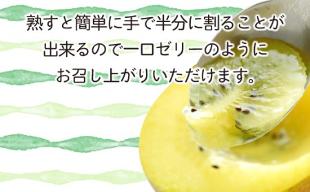 年内発送 キウイ フルーツ さぬき キウイっこ 約2kg 香川 キウイ 12月出荷 さぬき市 年内最終28日 キウイ