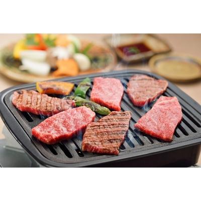 ふるさと納税 輪之内町 A5等級 飛騨牛バラ焼肉用500g(冷凍)