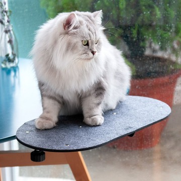 thehill 樂丘｜PURATTO好憩 雲朵免釘牆貓跳台 雲夢白