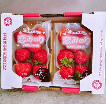 【帕查嬤嬤】????日本 熊本 阿蘇 戀之實 恋みのり 草莓｜日本草莓禮盒
