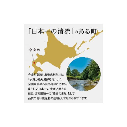 ふるさと納税 北海道 今金町 今金男しゃく（Lサイズ）約10kg（2024年10月発送） じゃがいも 男爵 いも だんしゃく 野菜 幻 北海道 …