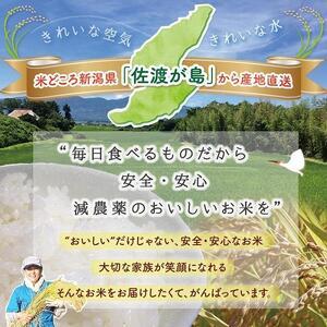 ふるさと納税  佐渡島産コシヒカリ 玄米5Kg 特別栽培米 新潟県佐渡市