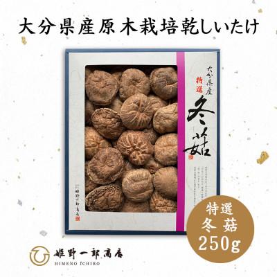 ふるさと納税 竹田市 大分県産原木栽培乾しいたけ 特選どんこ 250g