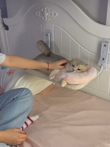 貓吊床寵物貓窩窗戶床邊曬太陽吸盤掛床陽臺玻璃懸掛式貓咪床用品【淘夢屋】