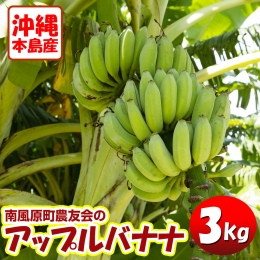 沖縄本島産 南風原町農友会の「アップルバナナ」　3kg