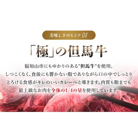 ふるさと納税 無添加(小箱入り175g×3箱)  カレー 但馬牛カレー 濃厚カレー とろすじカレー 京都府 福知山市.. 京都府福知山市