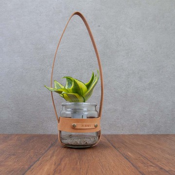 Be Two 水耕盆栽真皮皮革玻璃盆栽 蝦皮商城 Line購物