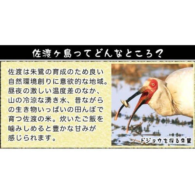 新潟県産 佐渡産コシヒカリ 白米 5kg 令和4年産