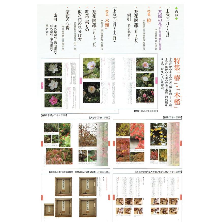 新版　茶花大事典（上巻・下巻）淡交社刊