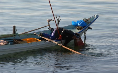 北海道 礼文島産 無添加 キタムラサキウニ 折詰200g×2 ウニ