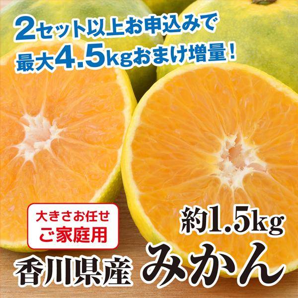 みかん 小さな2Sサイズ 送料無料 送料無料 1.5kg 香川県産 果物 旬 フルーツ 柑橘 3日営業日以内に発送