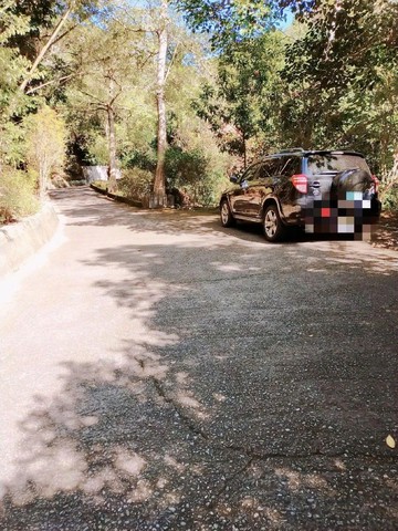 潭子新田登山步道旁林地B｜台中市潭子區新田段