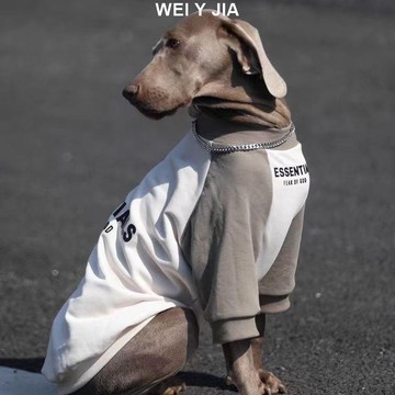 【唯家】狗狗衣服 大型犬秋季插肩袖薄款金毛拉布拉多 大狗狗衣服 邊牧衣服 冬季狗狗衣服 寵物衣服 大型犬衣服 狗狗過年新