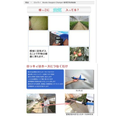 空気混入型園芸用散水器 ロッキィ ６ 青色 ７５ｍｍ 根域空気供給機 家庭菜園 ガーデニング ハスクチ 水まき 散水 | LINEブランドカタログ