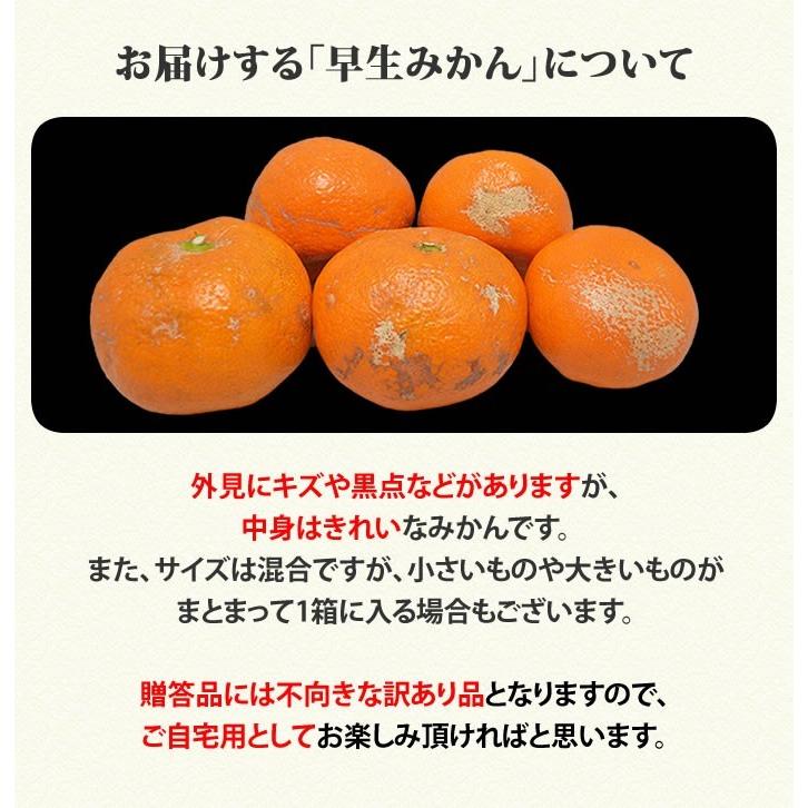 みかん 熊本 訳あり 送料無料 1.5kg  2セット購入で1セットおまけ 3セット購入でダブル増量3セットおまけ 極早生 は果皮が緑