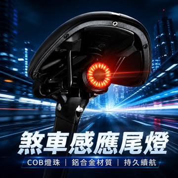 💞自行車燈 煞車燈 智能煞車燈 自行車尾燈 自行車後燈 警示燈 夜騎燈 尾燈 感應燈 智能剎車燈 USB充電