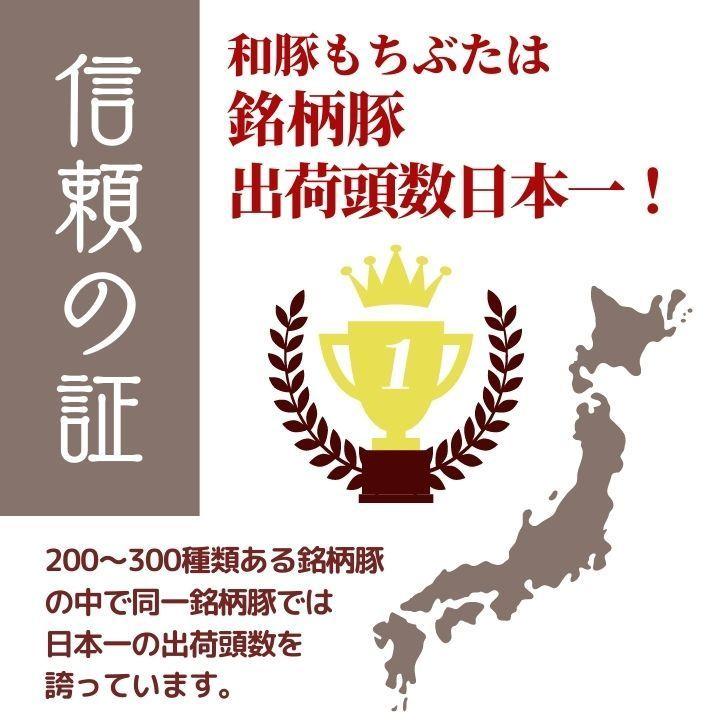 焼肉 豚肉 和 豚 もちぶた BBQ 4人前 ロース厚切り 120g×4枚 バラ焼肉用 400g バラベーコン 骨 付き 豚肉 美味しい 豚肉 国産 豚肉 冷凍 焼肉 豚肉 冷凍 新潟県