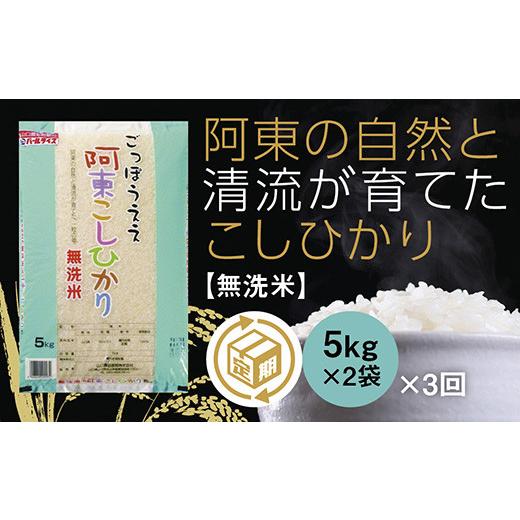 ふるさと納税 山口県 山口市 B-053 阿東こしひかり（無洗米5kg×2）3か月定期便