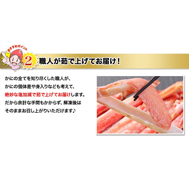 かに カニ 蟹 ズワイガニ ボイル ボイルずわい ボイルずわい脚肉半むき身25〜50本（約1kg）