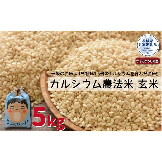 ふるさと納税 茨城県 那珂市 カルシウム農法米　玄米5kg（茨城県共通返礼品・かすみがうら市産）