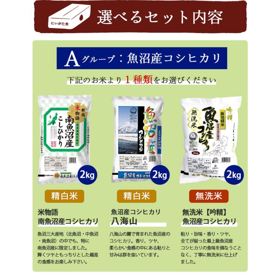 お米 4kg 送料無料 食べ比べ お試し いなほんぽのコシヒカリ選べるセット 4kg(2kg×2) プレゼント付 無洗米 精白米 新潟産 魚沼産 令和5年産 新米