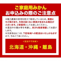 ＜先行予約＞家庭用　超熟有田みかん8kg 240g（傷み補償分） 池田鹿蔵農園@日高町（池田農園株式会社）《11月上旬-1月中旬頃より順次出荷》和歌山県 日高町