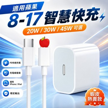 現貨 45W快充頭 PD快充線 支援apple原廠協議 蘋果快充線 Type C豆腐頭 充電頭 適用iPhone充電線