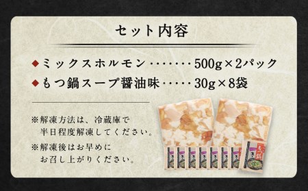 和牛もつ鍋 10人前 500g×2パック 合計1kg スープ 8袋