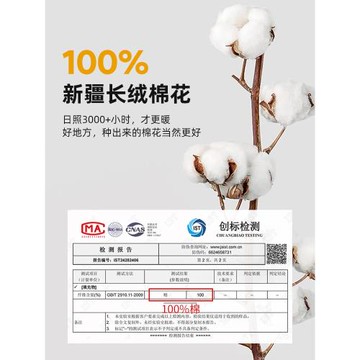 新疆棉花被子冬被棉被全棉冬季加厚保暖純棉花被芯單人春秋被棉絮