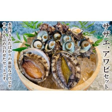 ふるさと納税 サザエ、アワビセット   田中鮮魚店   長崎県雲仙市 長崎県雲仙市