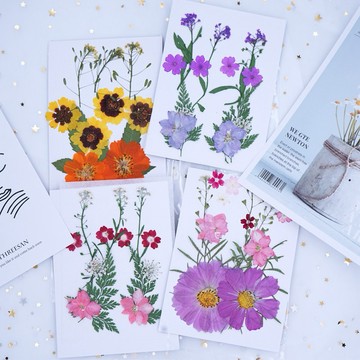 【貼臉壓花系列】 花包組合 真花壓花 永生花 森林系 少女寫真 壁畫 DIY水晶滴膠 乾燥花 植物標本