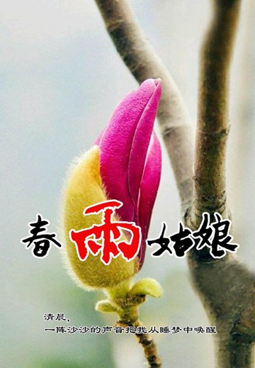 【電子書】春雨姑娘