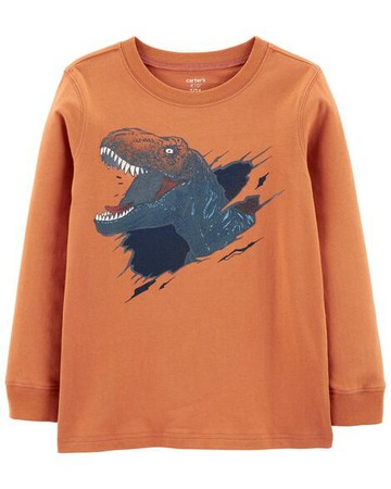 Kid Dinosaur Jersey Tee