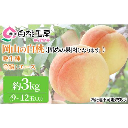 ふるさと納税 固めの 桃 2024年 先行予約 白桃 晩生種 3kg 9〜12玉 もも モモ 岡山 国産 フルーツ 果物 ギフト 桃茂実苑  岡山県赤磐市