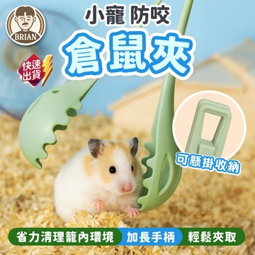 倉鼠夾 【布萊恩👨🏻隔日到貨】抓倉鼠神器 防咬倉鼠夾 倉鼠清洗用品 防抓咬夾 倉鼠挖勺 小寵用品 倉鼠用品